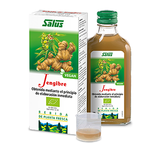 JENGIBRE