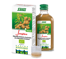 JENGIBRE
